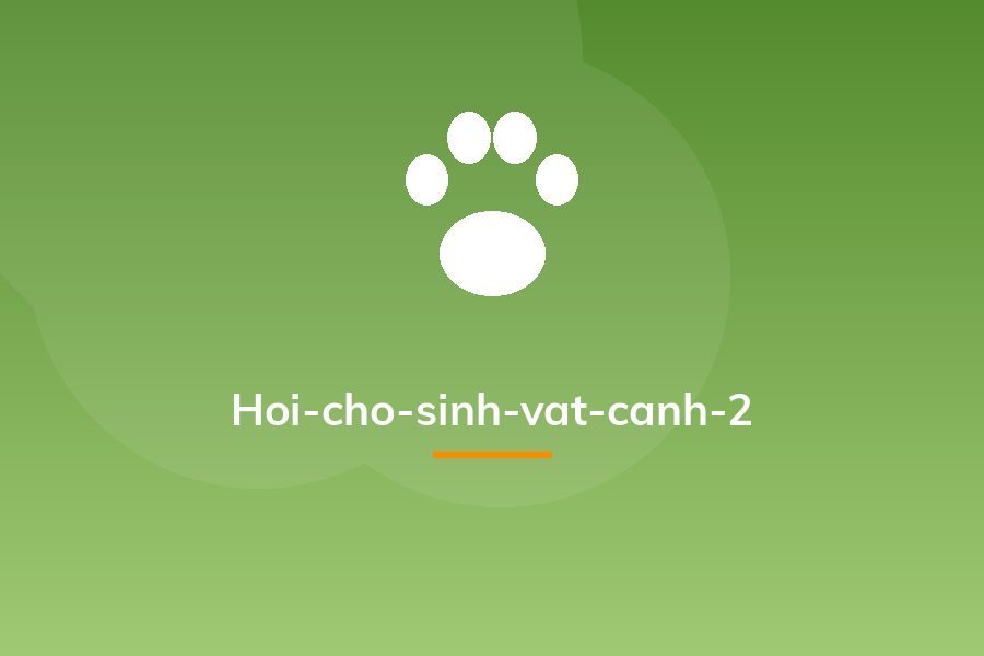 Hoi-cho-sinh-vat-canh-2