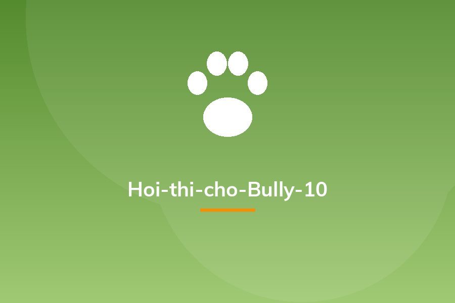 Hoi-thi-cho-Bully-10