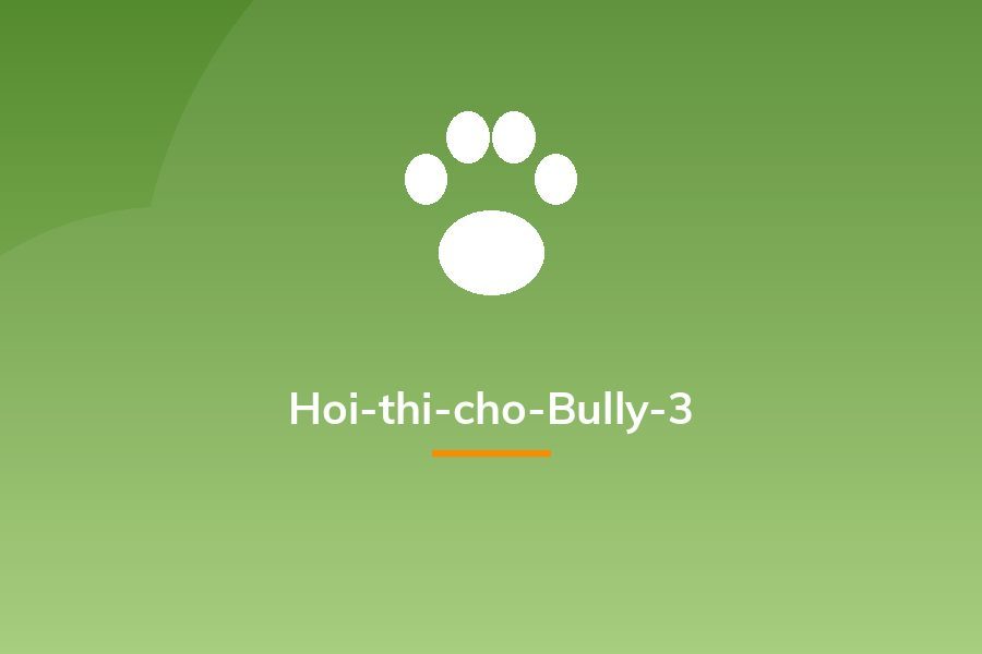 Hoi-thi-cho-Bully-3