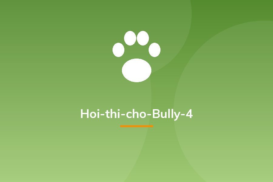 Hoi-thi-cho-Bully-4