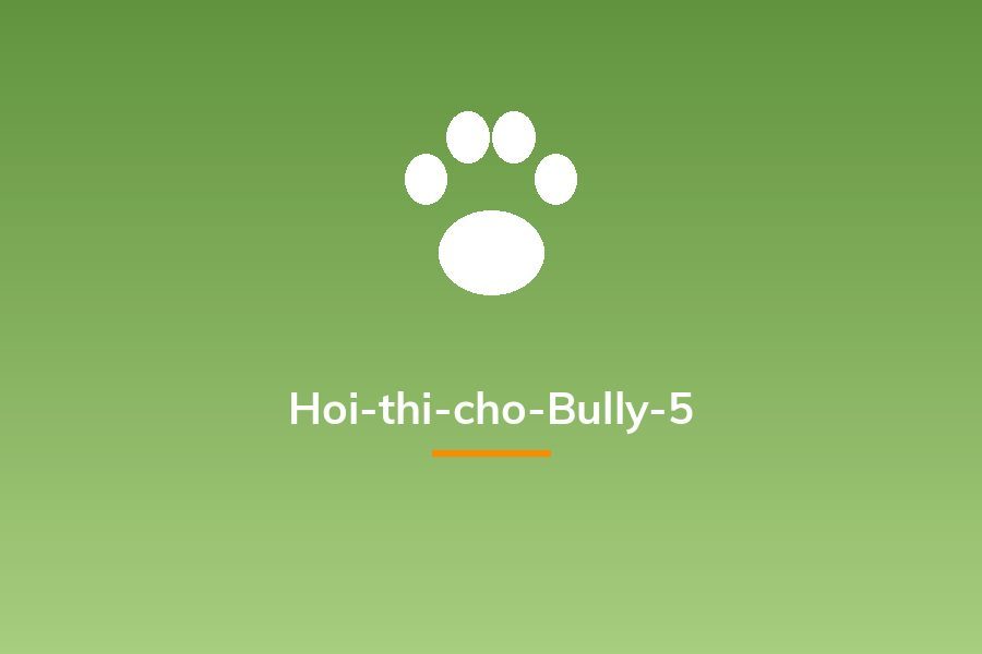 Hoi-thi-cho-Bully-5
