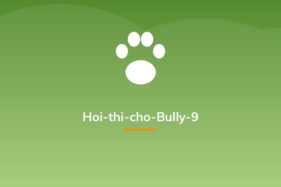 Hoi-thi-cho-Bully-9