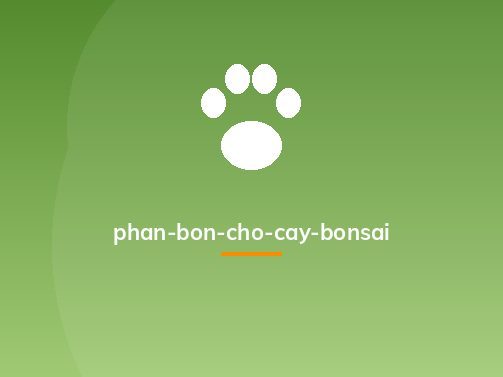 phan-bon-cho-cay-bonsai