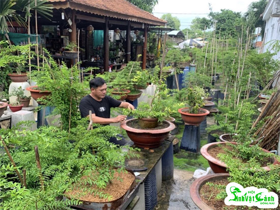 người đam mê cây cảnh
