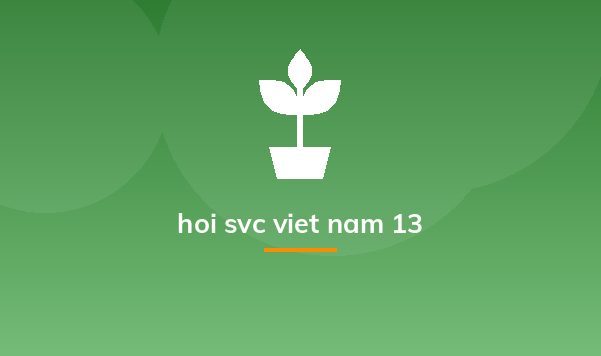 hoi svc viet nam 13