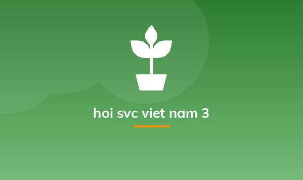 hoi svc viet nam 3