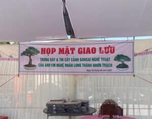 trung bay bonsai 1