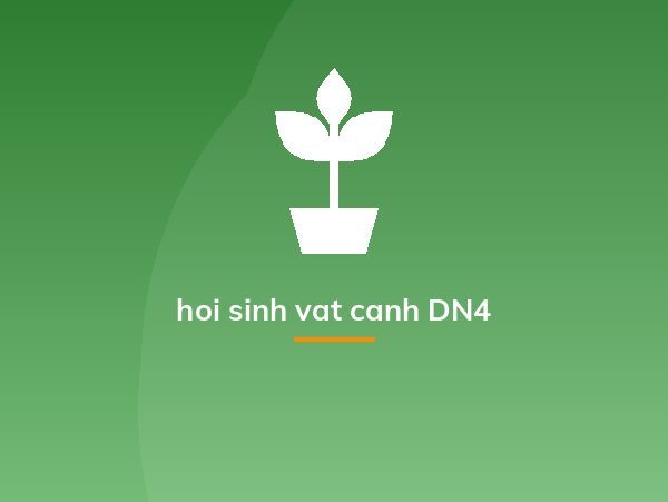 hoi sinh vat canh DN4