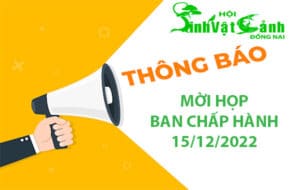 moi hop bch