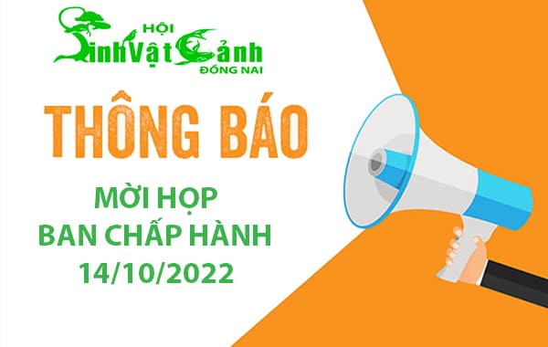 moi hop bch hoi sinh vat canh