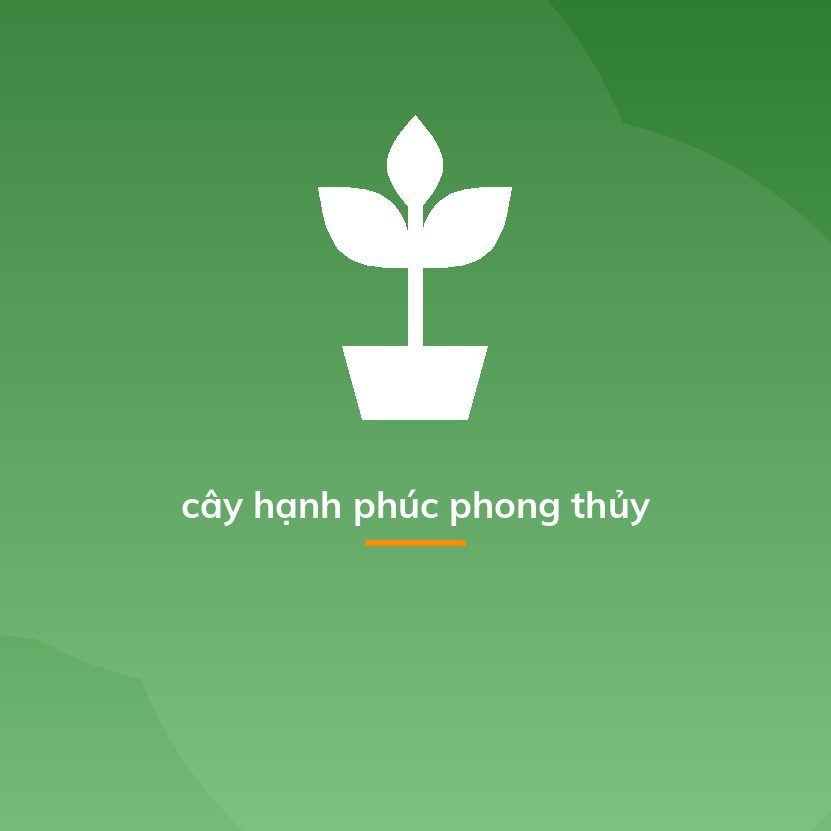 cây hạnh phúc phong thủy