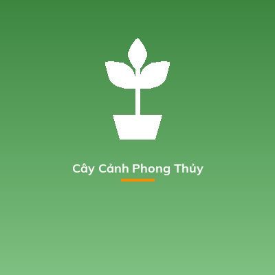 Cây Cảnh Phong Thủy
