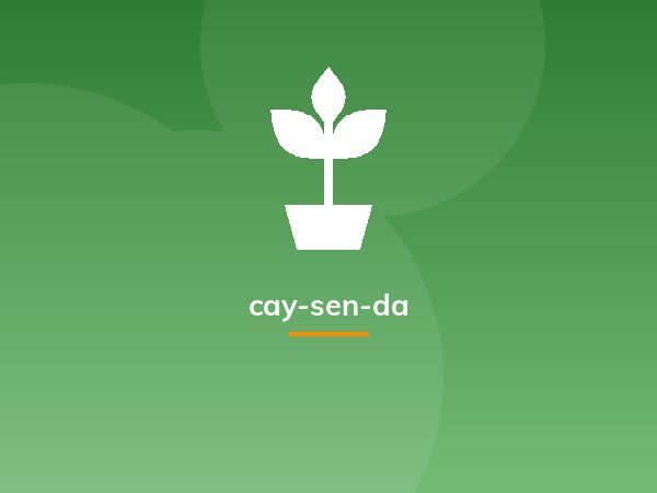 cay-sen-da