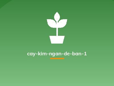 cay-kim-ngan-de-ban-1