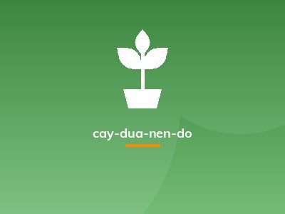 cay-dua-nen-do