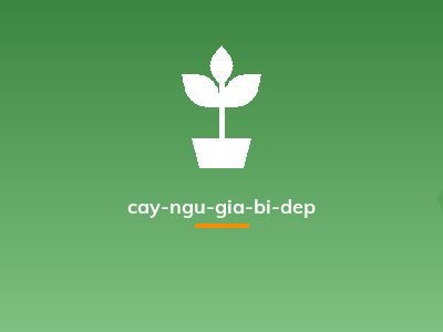 cay-ngu-gia-bi-dep