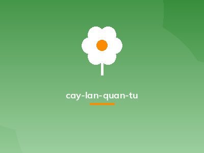 cay-lan-quan-tu