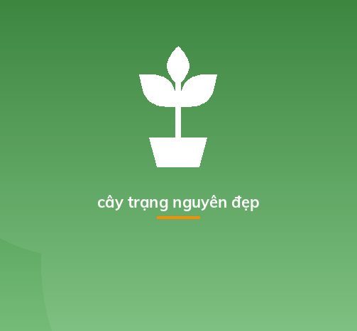 cây trạng nguyên đẹp