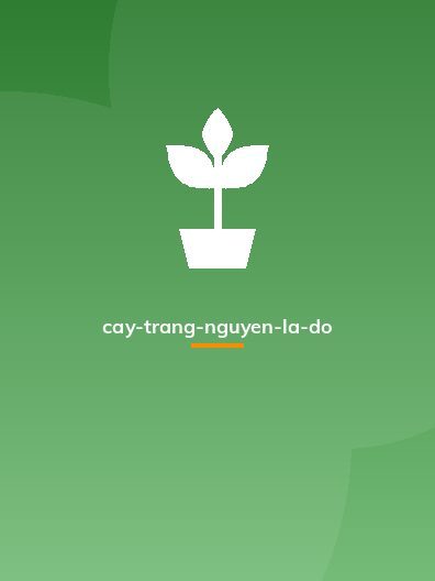 cay-trang-nguyen-la-do