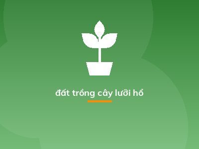 đất trồng cây lưỡi hổ