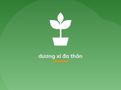 dương xỉ đa thân