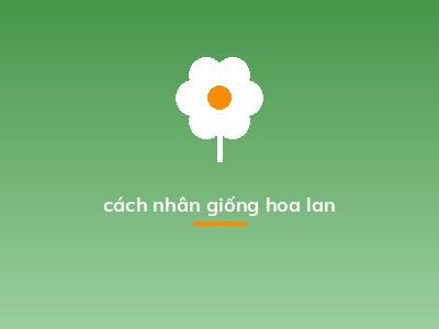 cách nhân giống hoa lan