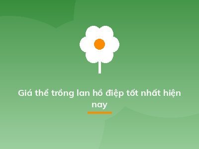Giá thể trồng lan hồ điệp tốt nhất hiện nay