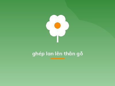 ghép lan lên thân gỗ