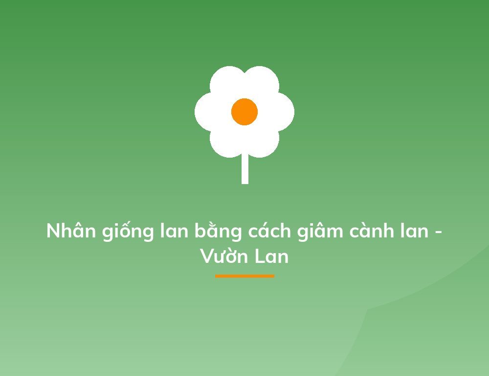 Nhân giống lan bằng cách giâm cành lan - Vườn Lan
