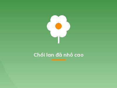 Chồi lan đã nhô cao