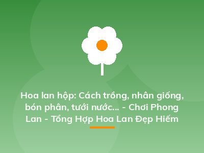 Hoa lan hộp: Cách trồng, nhân giống, bón phân, tưới nước... - Chơi Phong Lan - Tổng Hợp Hoa Lan Đẹp Hiếm