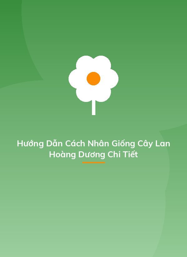 Hướng Dẫn Cách Nhân Giống Cây Lan Hoàng Dương Chi Tiết