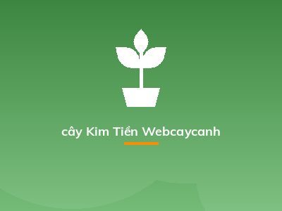 cây Kim Tiền Webcaycanh