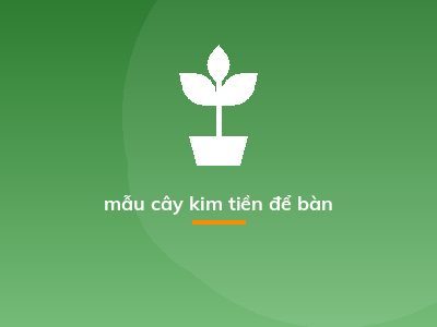 mẫu cây kim tiền để bàn