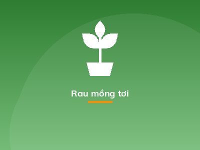 Rau mồng tơi