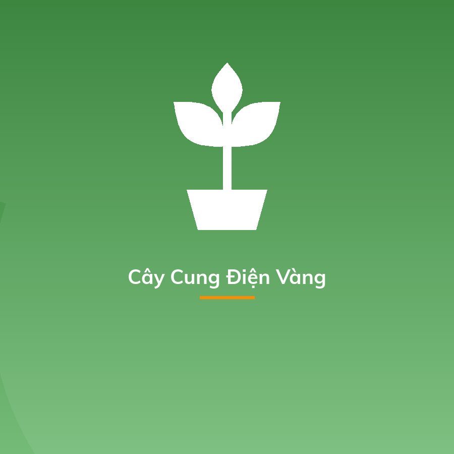 Cây Cung Điện Vàng