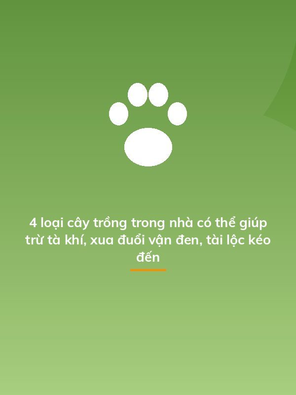 4 loại cây trồng trong nhà có thể giúp trừ tà khí, xua đuổi vận đen, tài lộc kéo đến