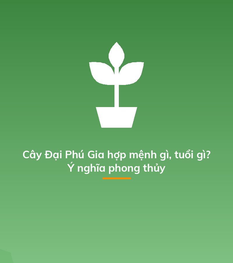 Cây Đại Phú Gia hợp mệnh gì, tuổi gì? Ý nghĩa phong thủy
