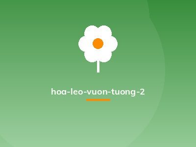hoa-leo-vuon-tuong-2