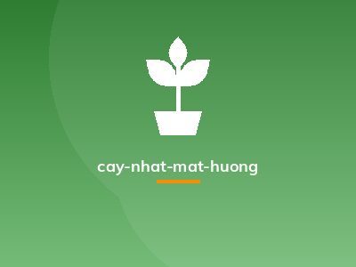 cay-nhat-mat-huong