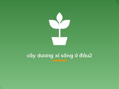 cây dương xỉ sống ở đâu2