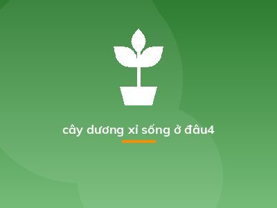 cây dương xỉ sống ở đâu4