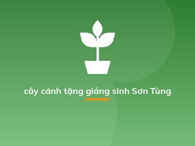 cây cảnh tặng giáng sinh Sơn Tùng