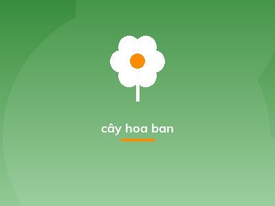 cây hoa ban