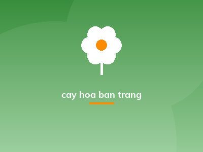 cay hoa ban trang