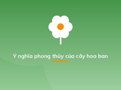 Ý nghĩa phong thủy của cây hoa ban