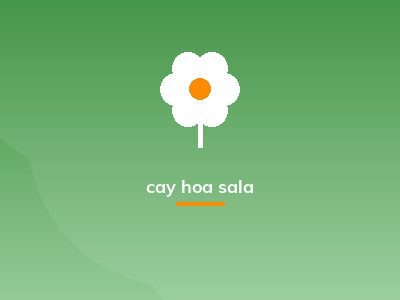cay hoa sala
