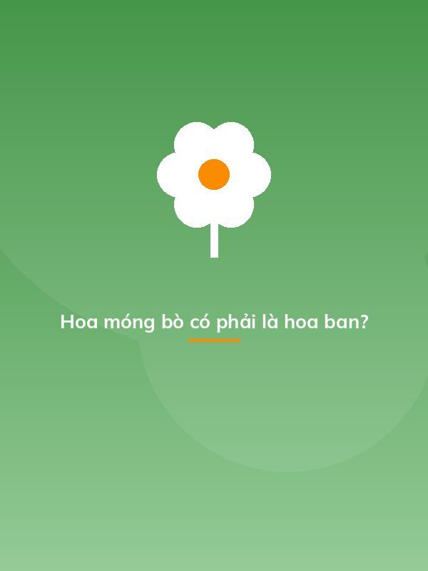 Hoa móng bò có phải là hoa ban?