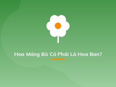 Hoa Móng Bò Có Phải Là Hoa Ban?
