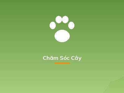 Chăm Sóc Cây